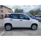 FIAT PANDA IIISERIE 0.9 TWINAIR TURBO LOUNGE NATURAL POWER